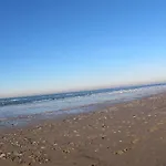 De Stormmeeuw *