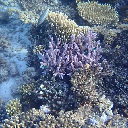 Feriehus De Stormmeeuw